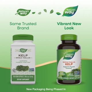 Nature's Way KELP Herbal Iodine Source 600 mg - 180 capsules THYROID SUPPORT NOW