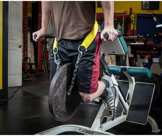 Spud DIP BELT Weighted Dips for Chins-Ups, Pull-Ups, Weightlifting PICK COLOR