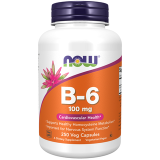 Now Foods B-6 100mg