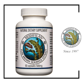 MODIFILAN Pure Brown Seaweed Extract - 90 Capsules