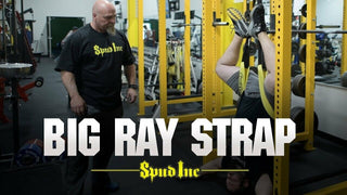 Spud BIG RAY STRAP + GODZILLA BAND Weightlifting Suspension System PAIN RELIEF